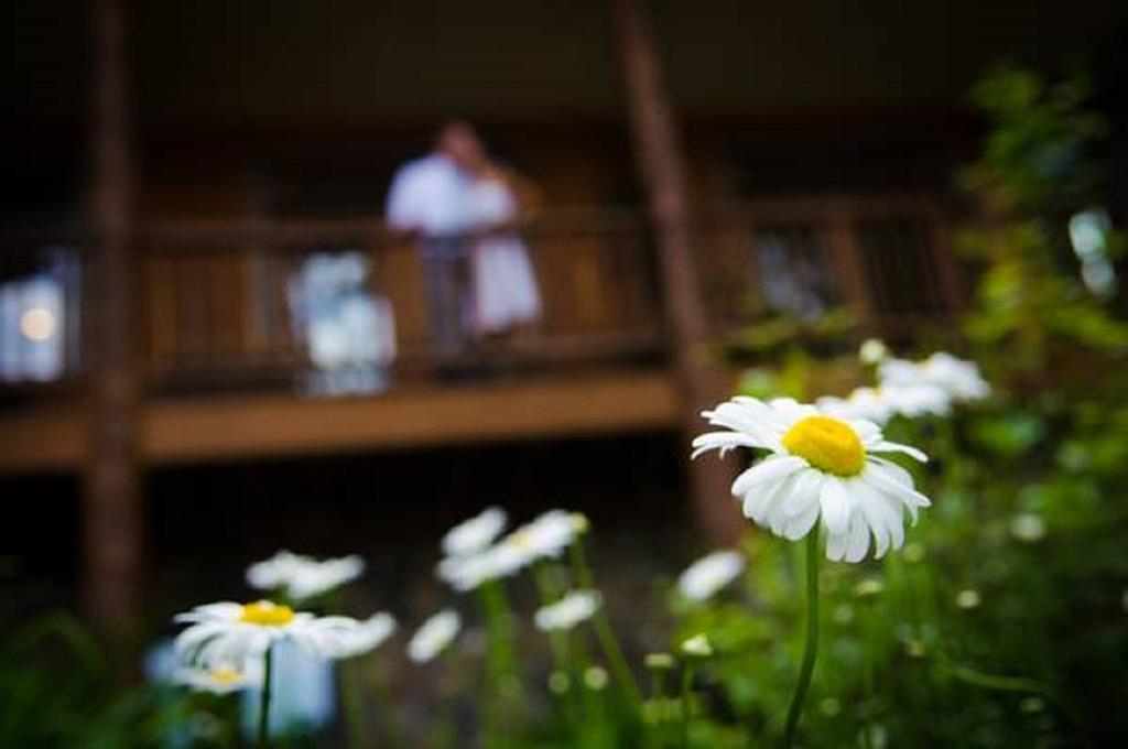 The Fern Lodge Chestertown Exterior foto